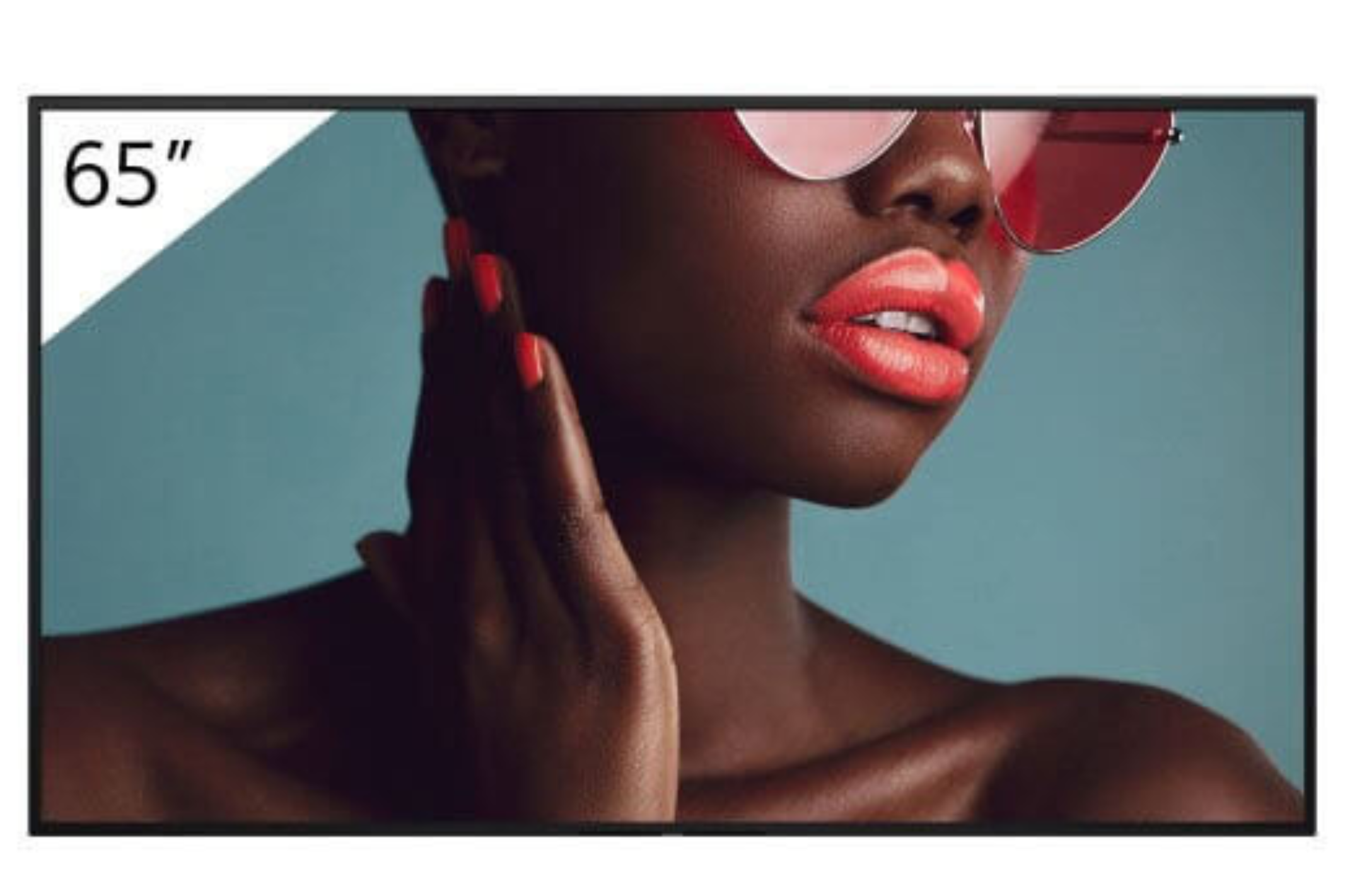 Sony FW-65BZ40L – 65 Zoll BRAVIA 4K HDR Professional Display