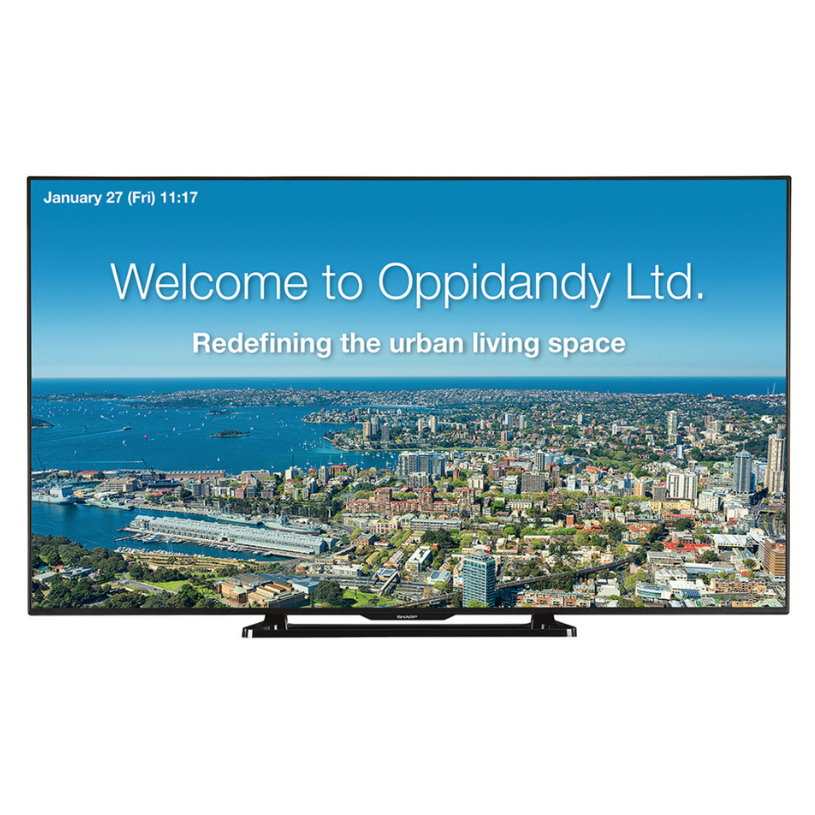 Sharp PN-Q601